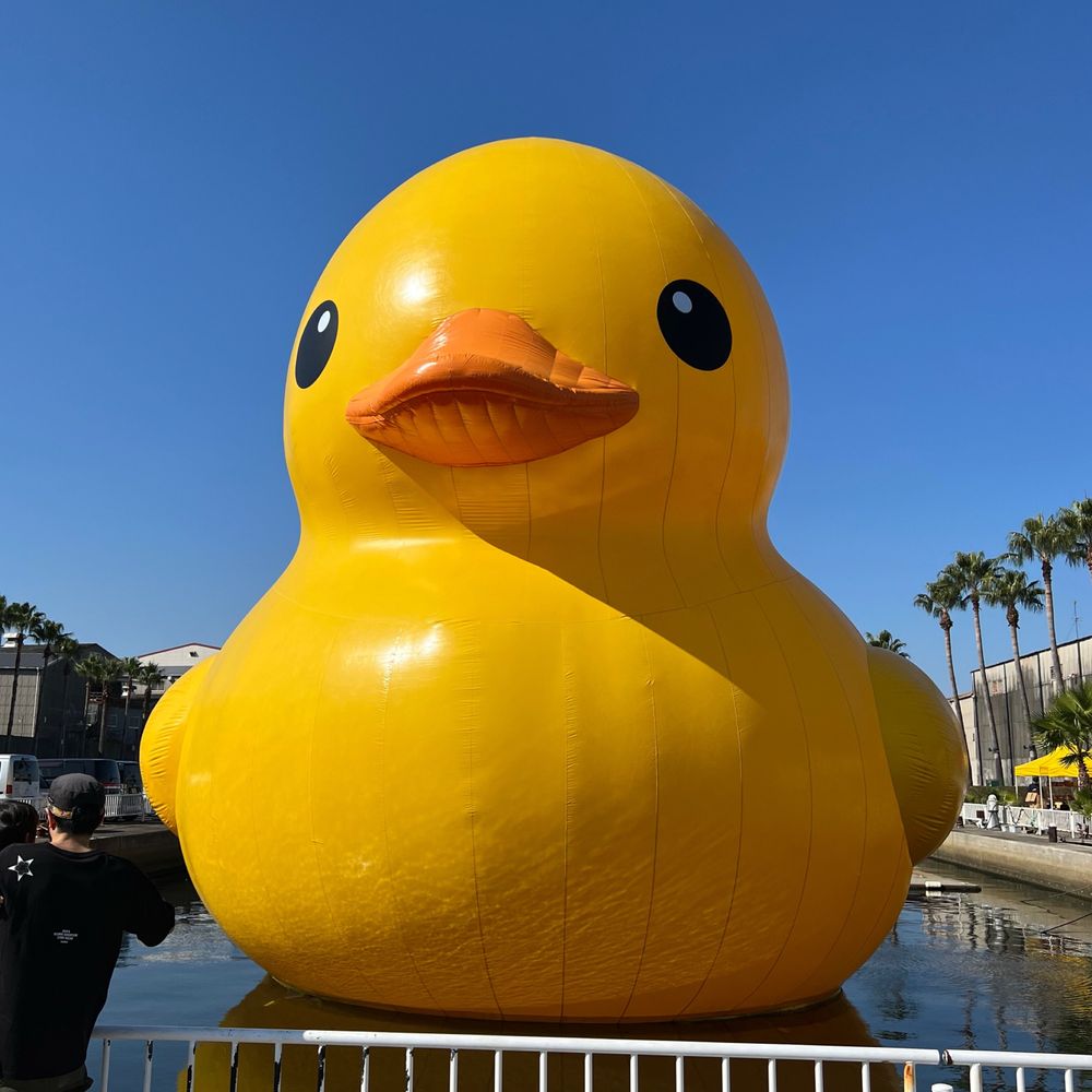 ひよ