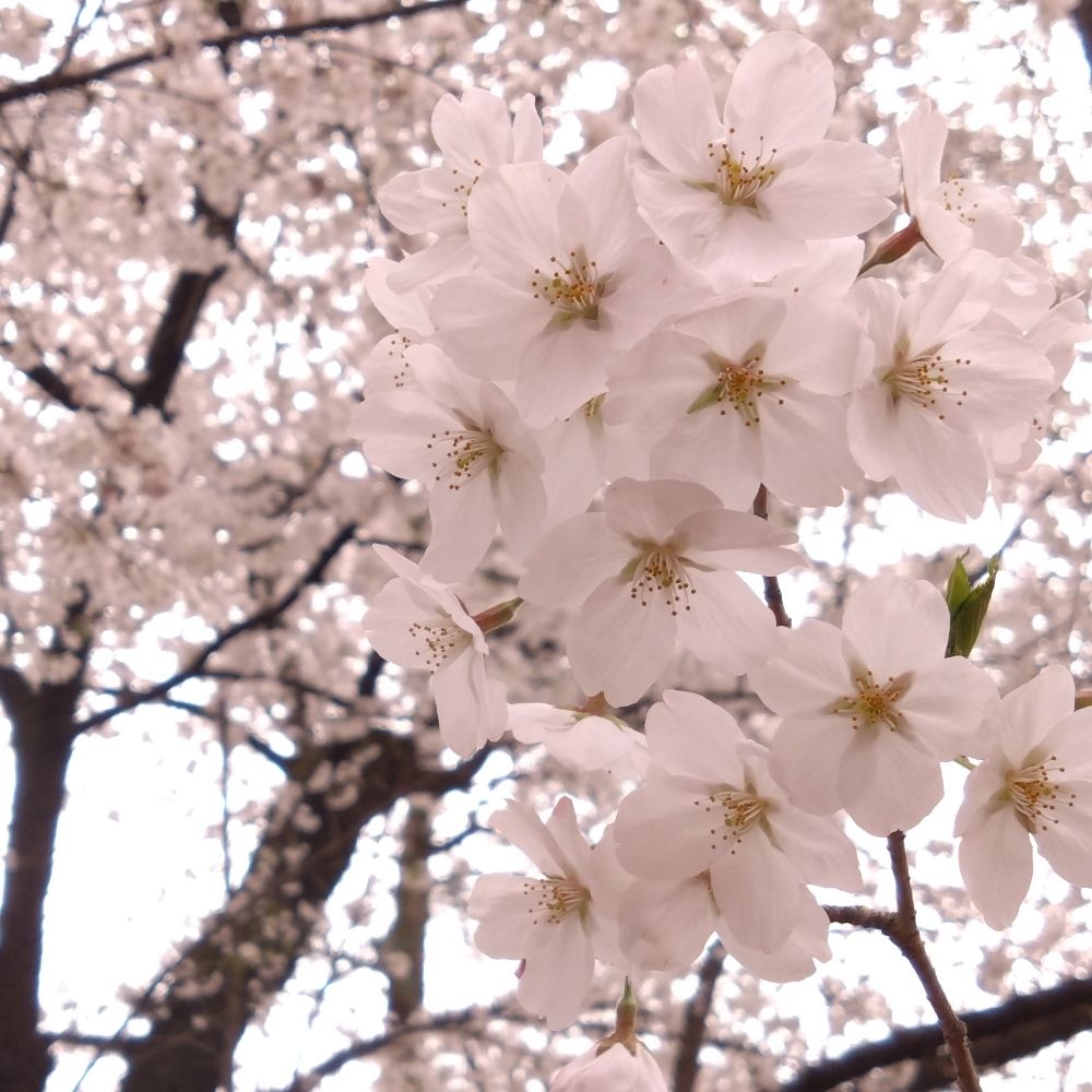 むつき