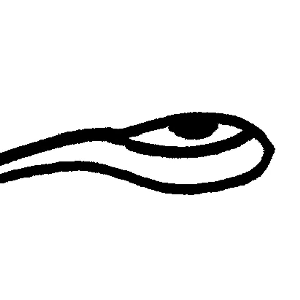 The Tapeworm