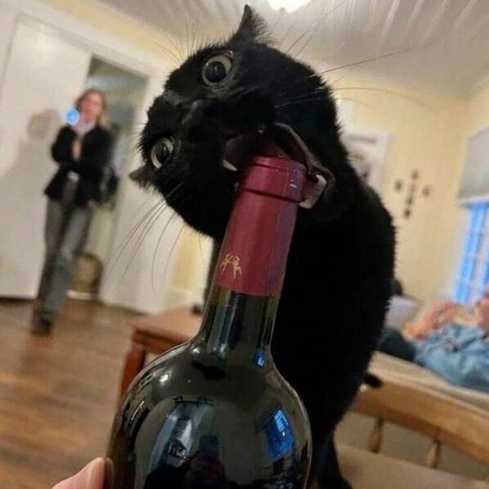 jiji 