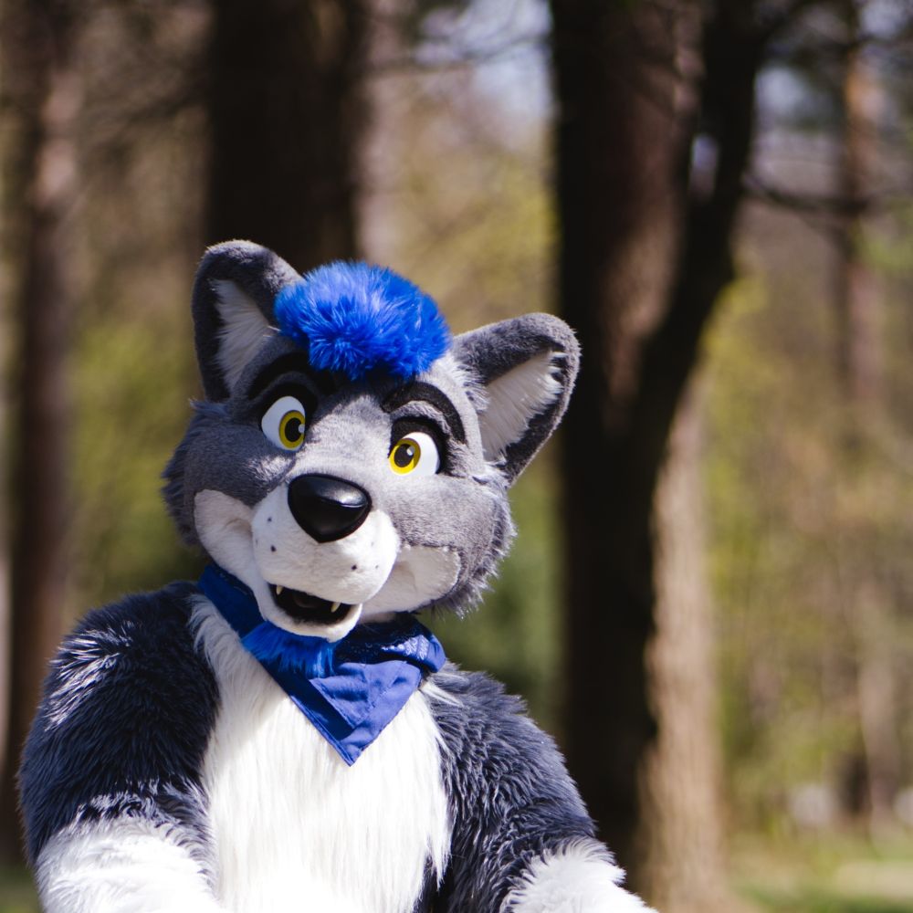 Volf