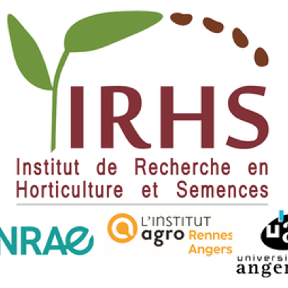 Profile picture irhs-angers.bsky.social