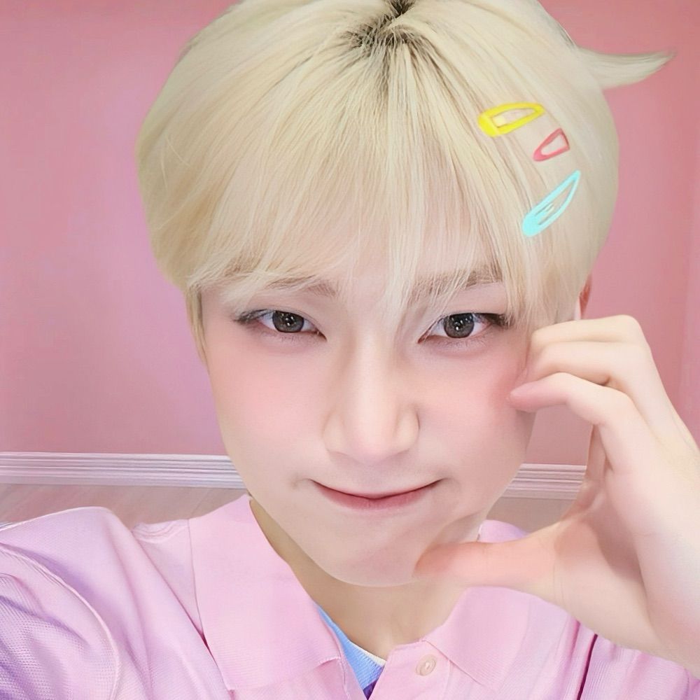 🐧🌔드림🍃🦊