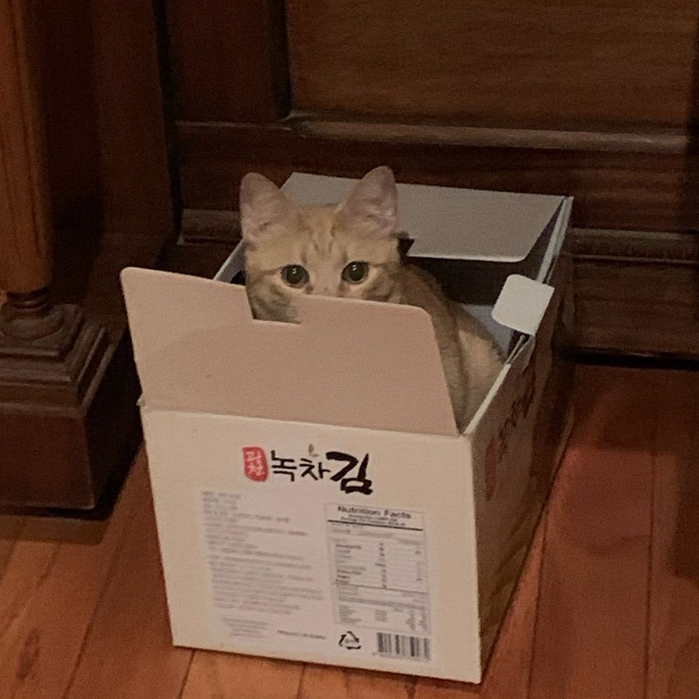Ed