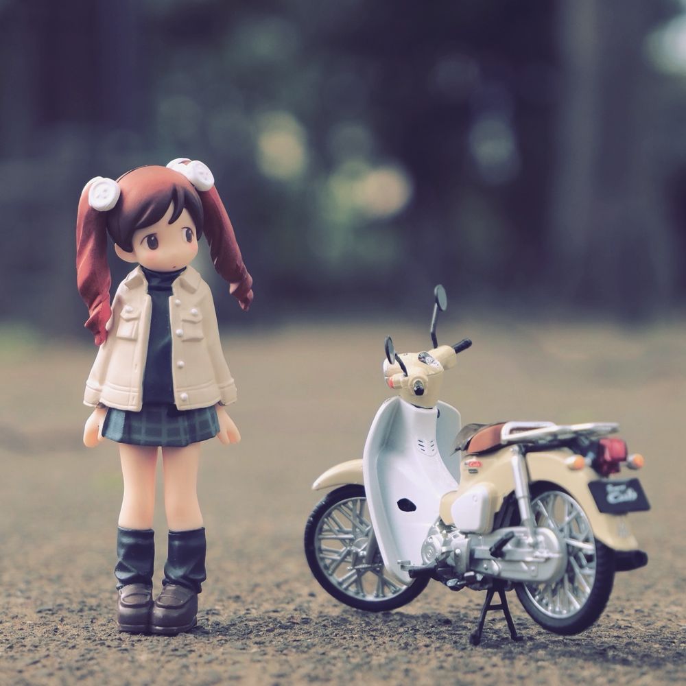 わたぬきさん