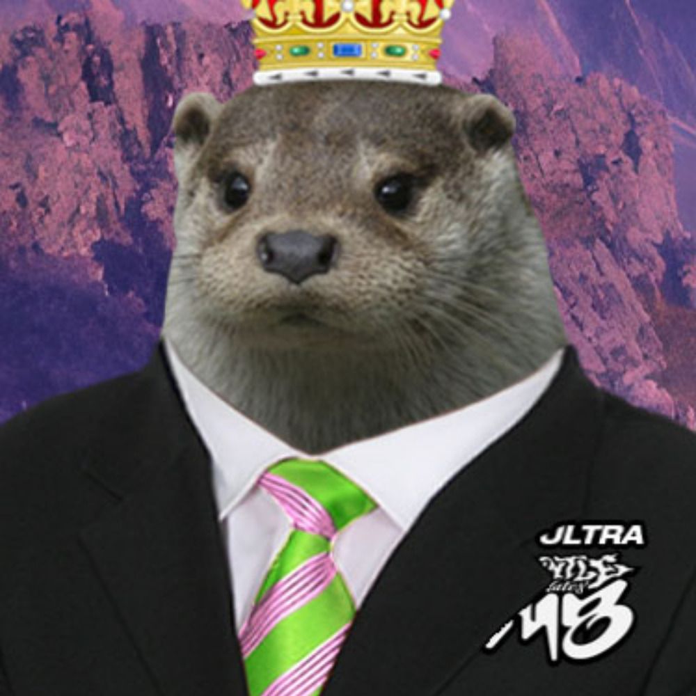Nyzerr