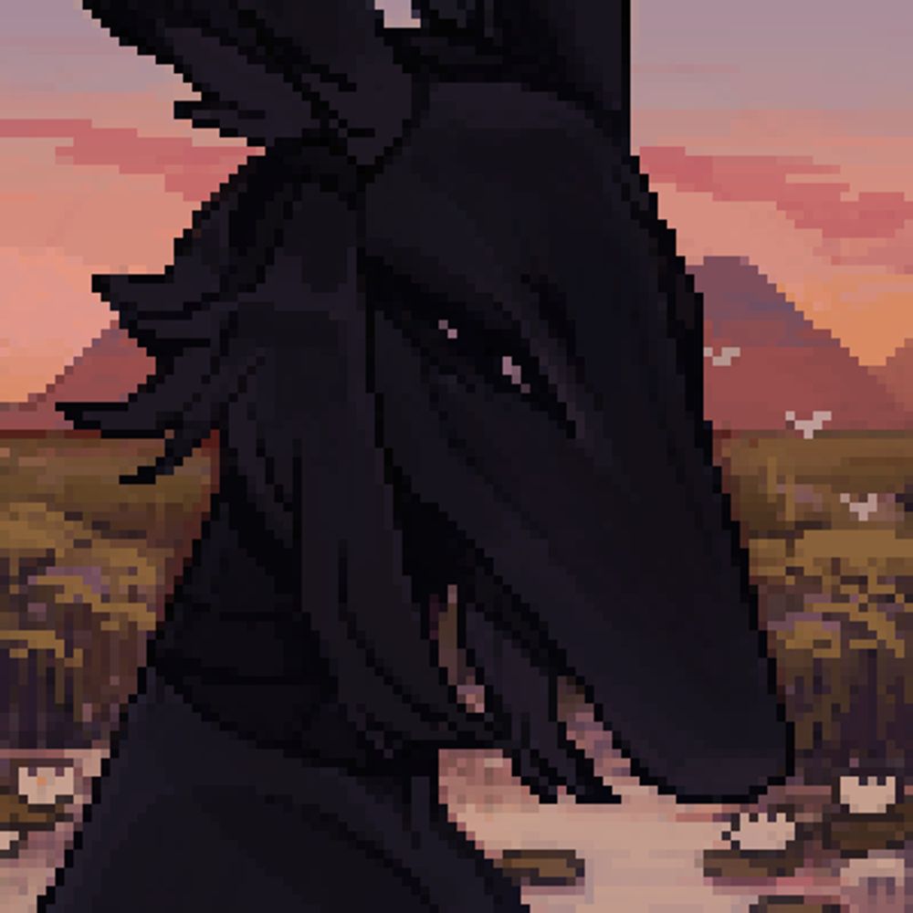Toki