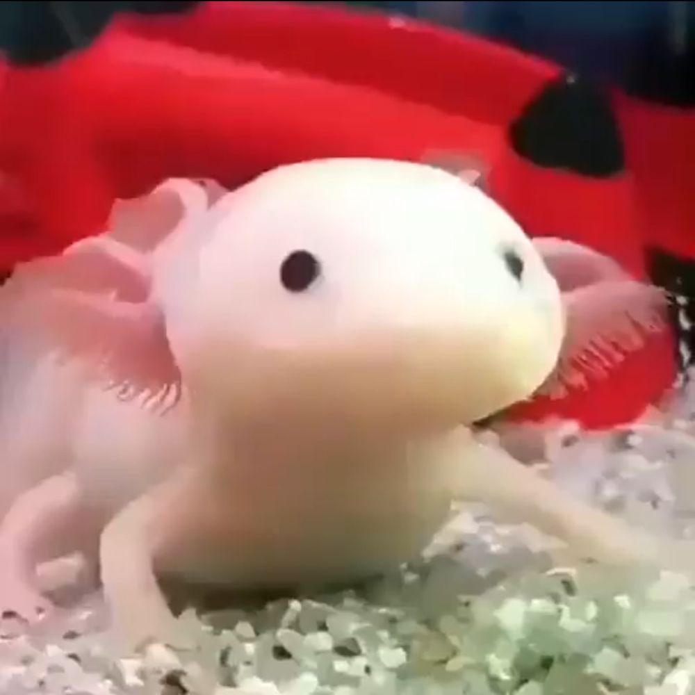 さと🌏 🔚
