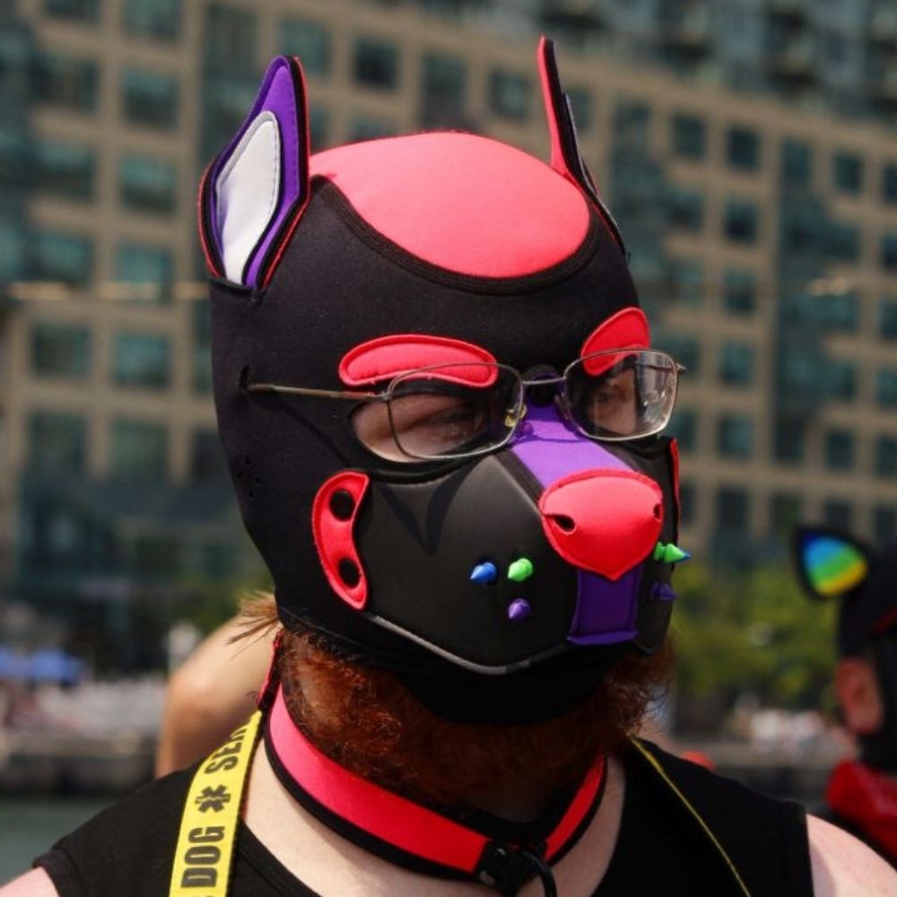 Pup Mash