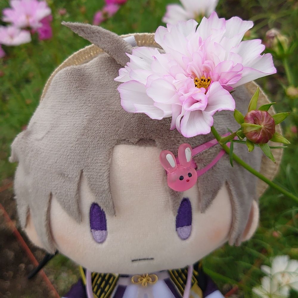 ri_ra