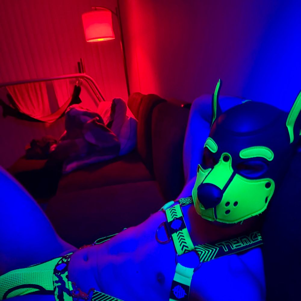 Little Puppy Xepher