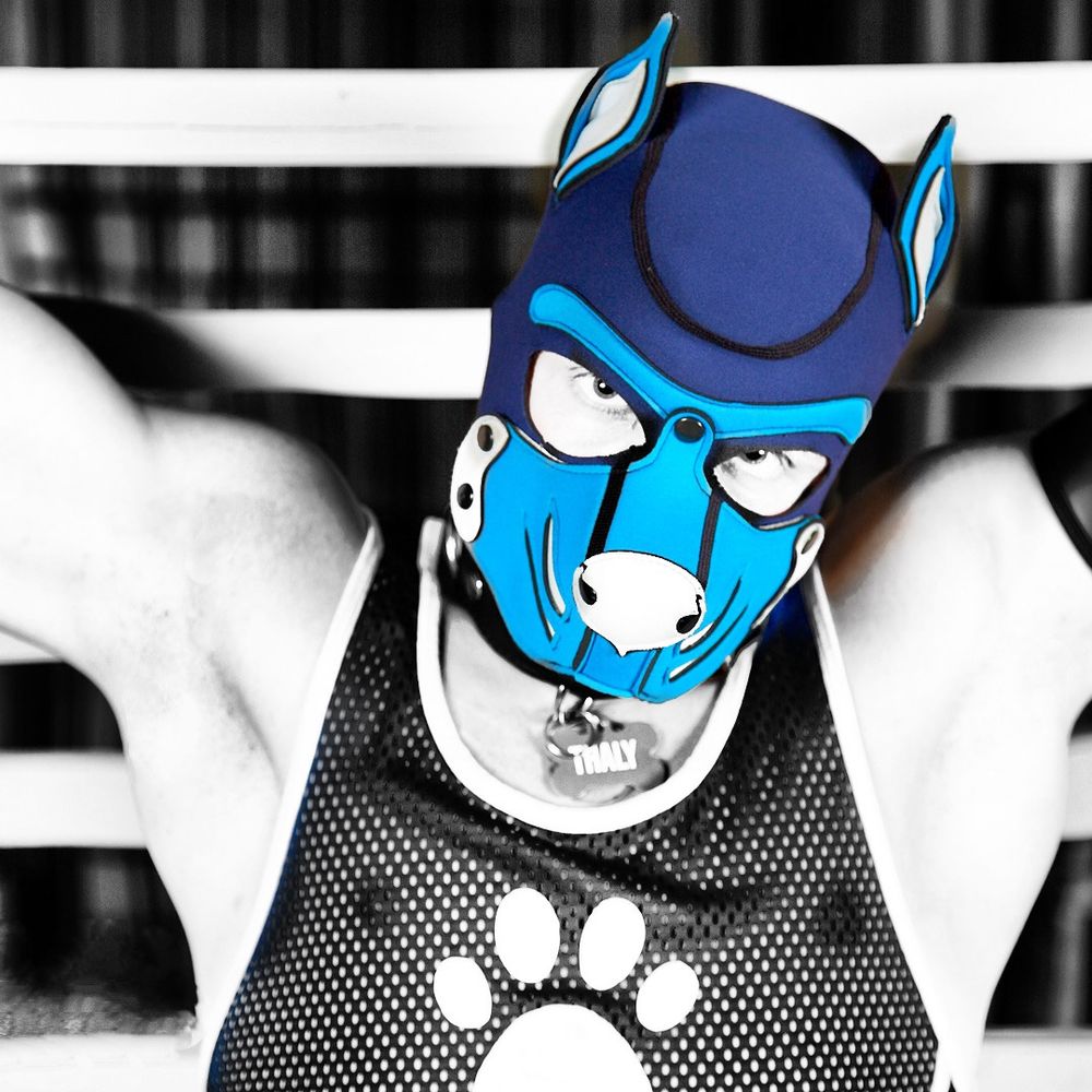 PupThaly