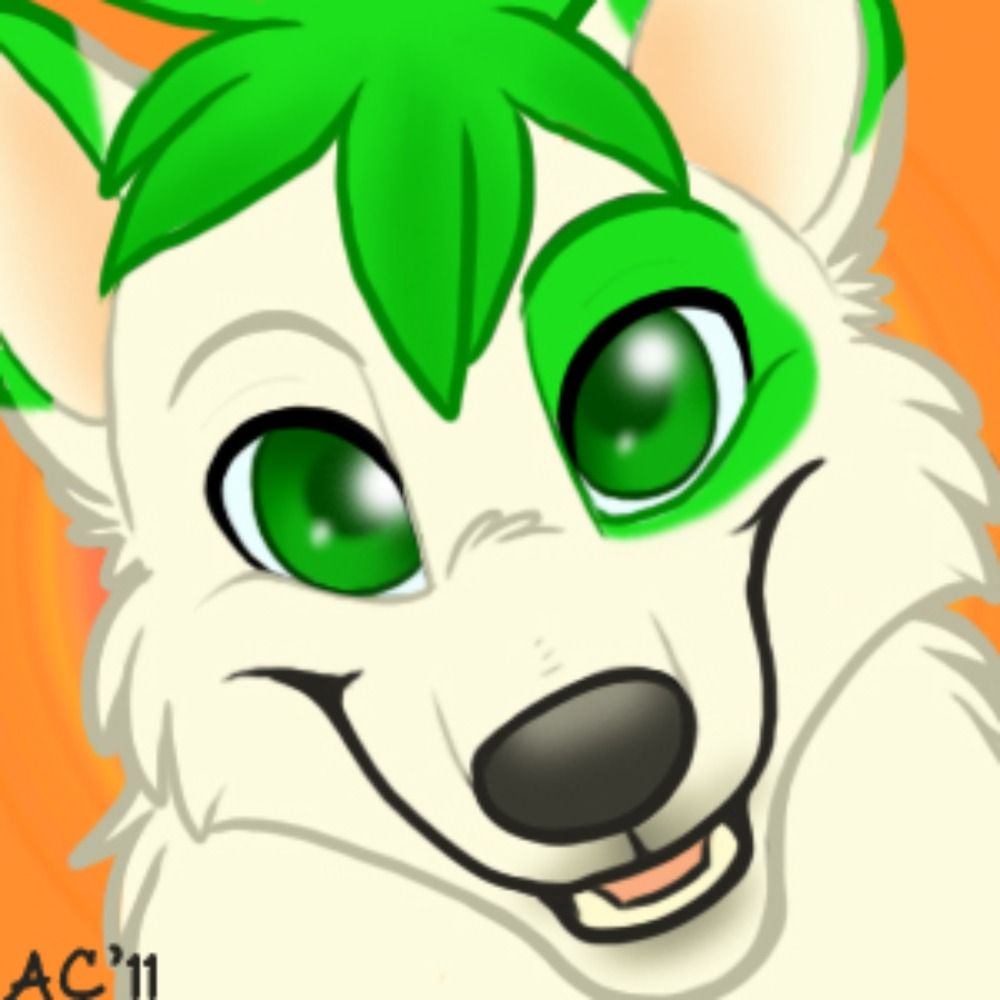 AcesCamel
