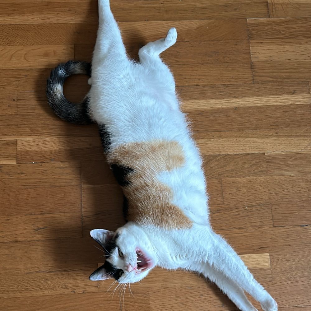 leapointbarre