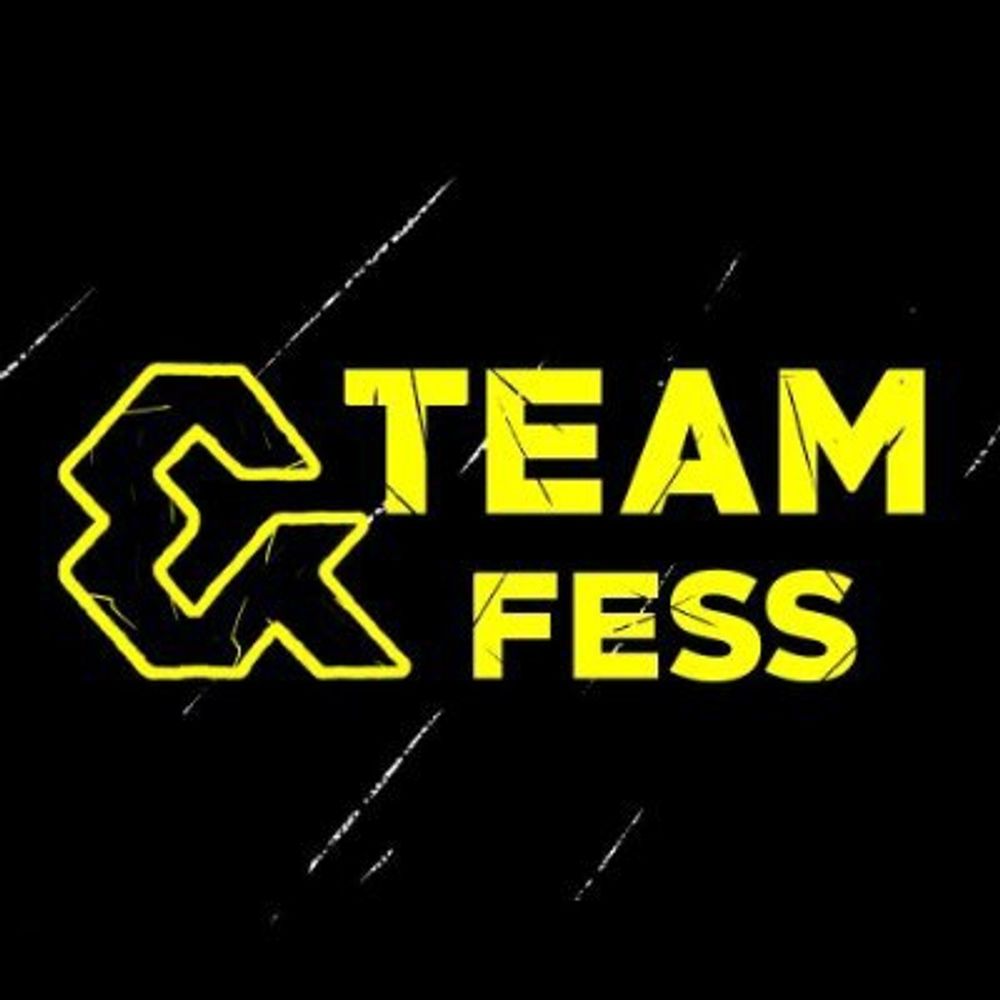ANDTEAM FESS