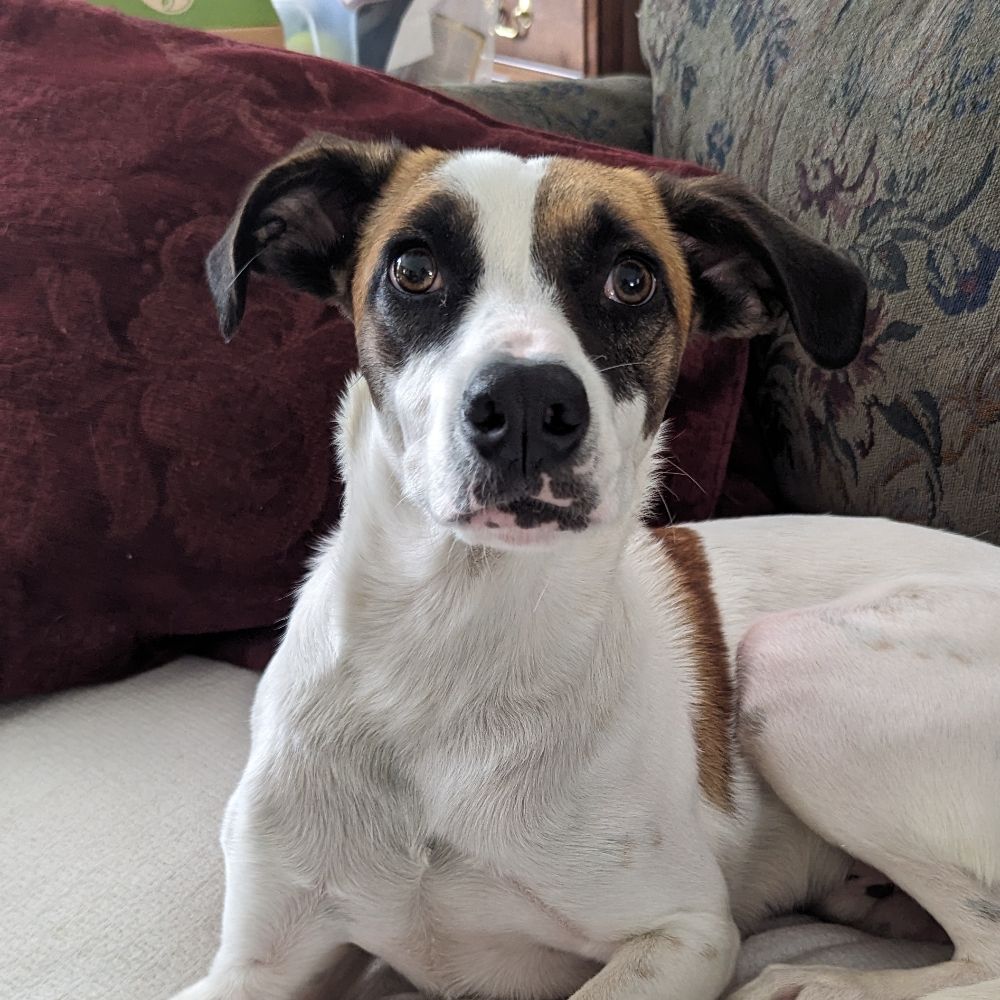 philmanor.bsky.social