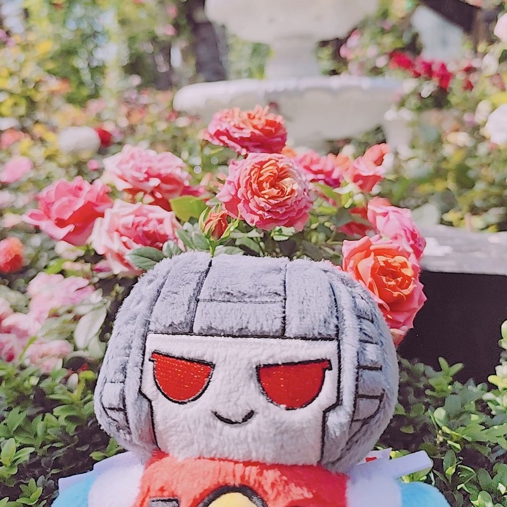 文くん・Humikun