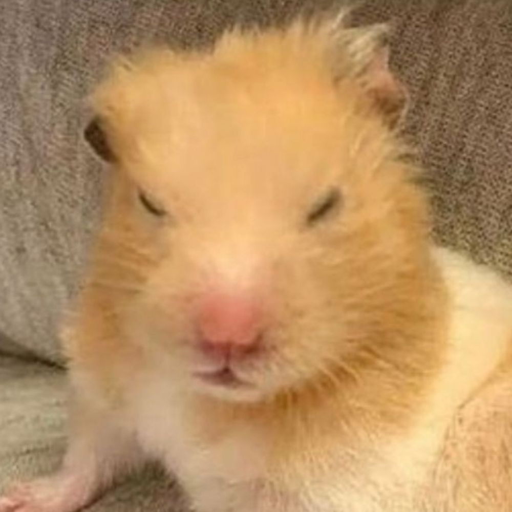 율