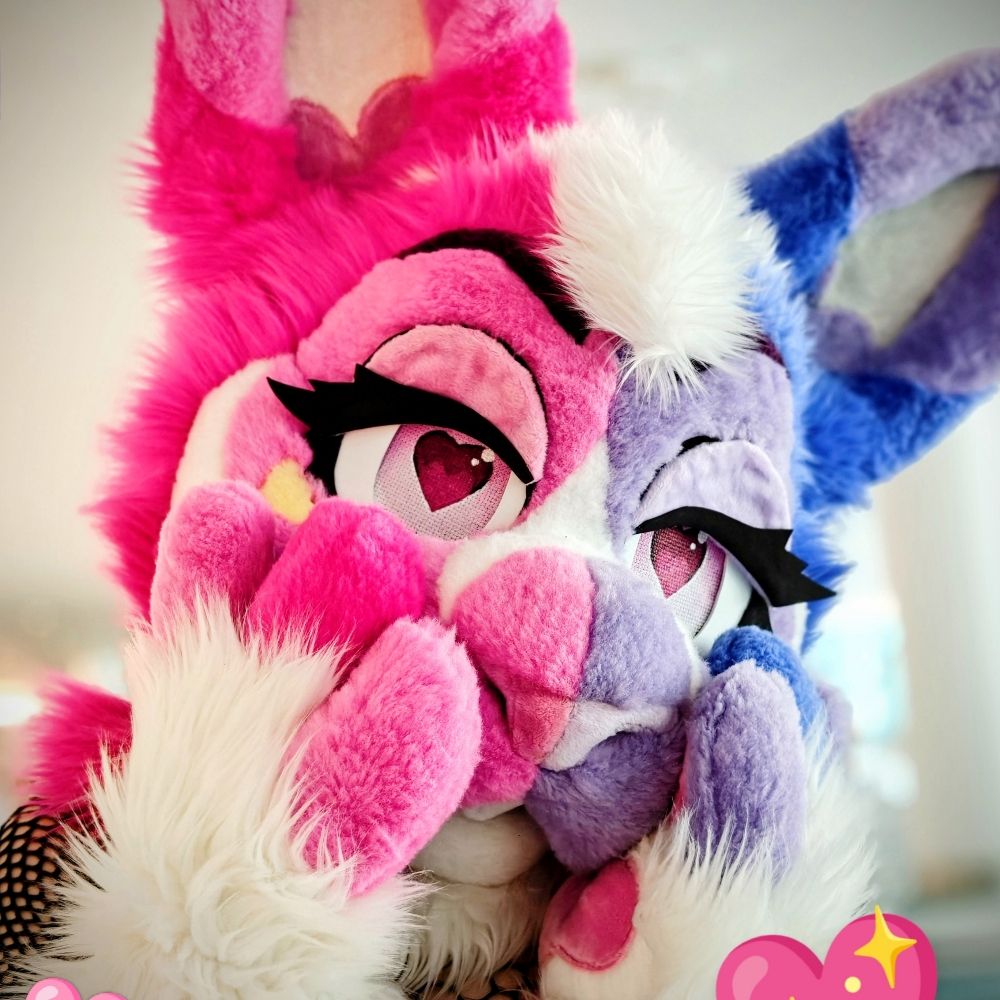 🩷QUIN The BUN💙 🐇💕