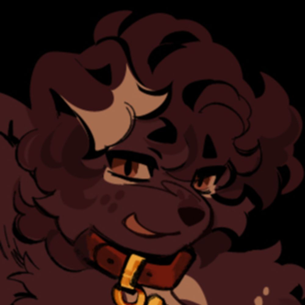 ✦ lio