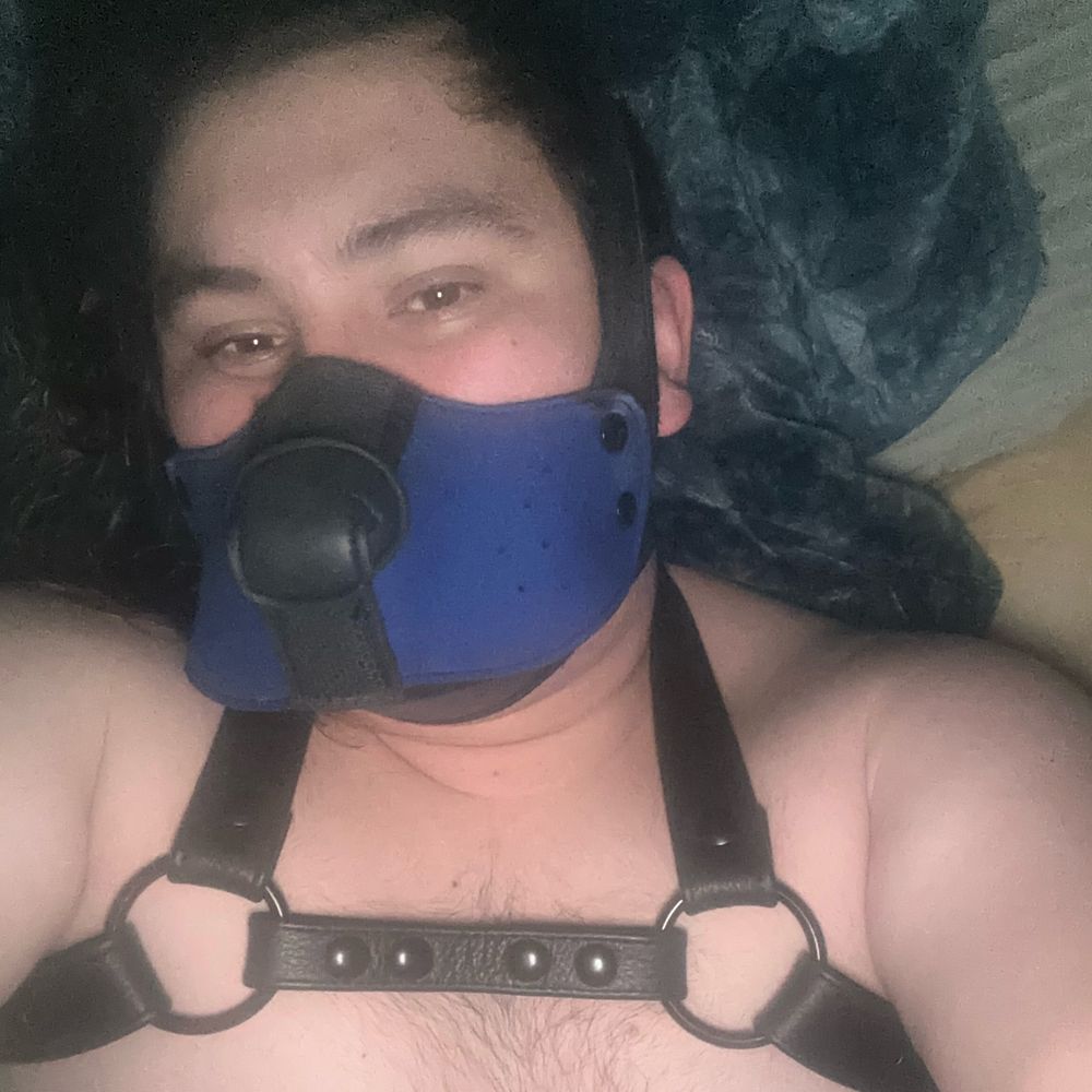 Garaf
