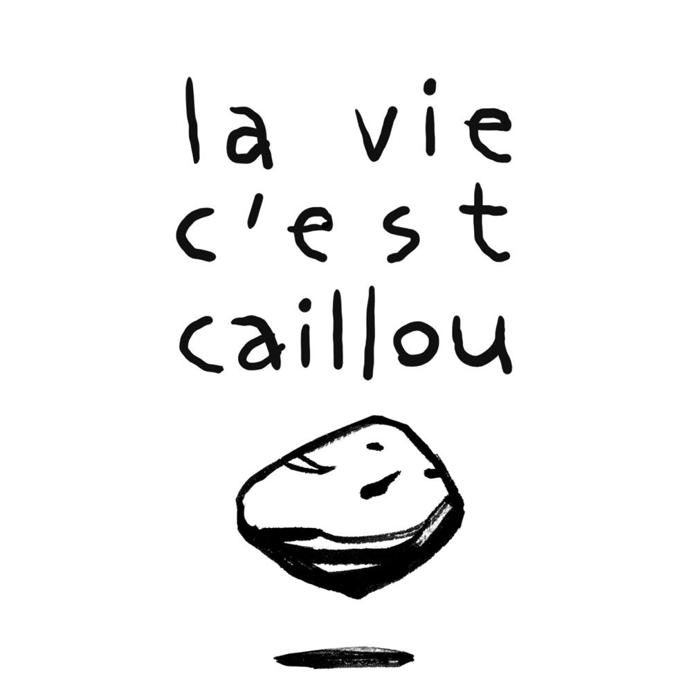 Éditions la vie c’est caillou