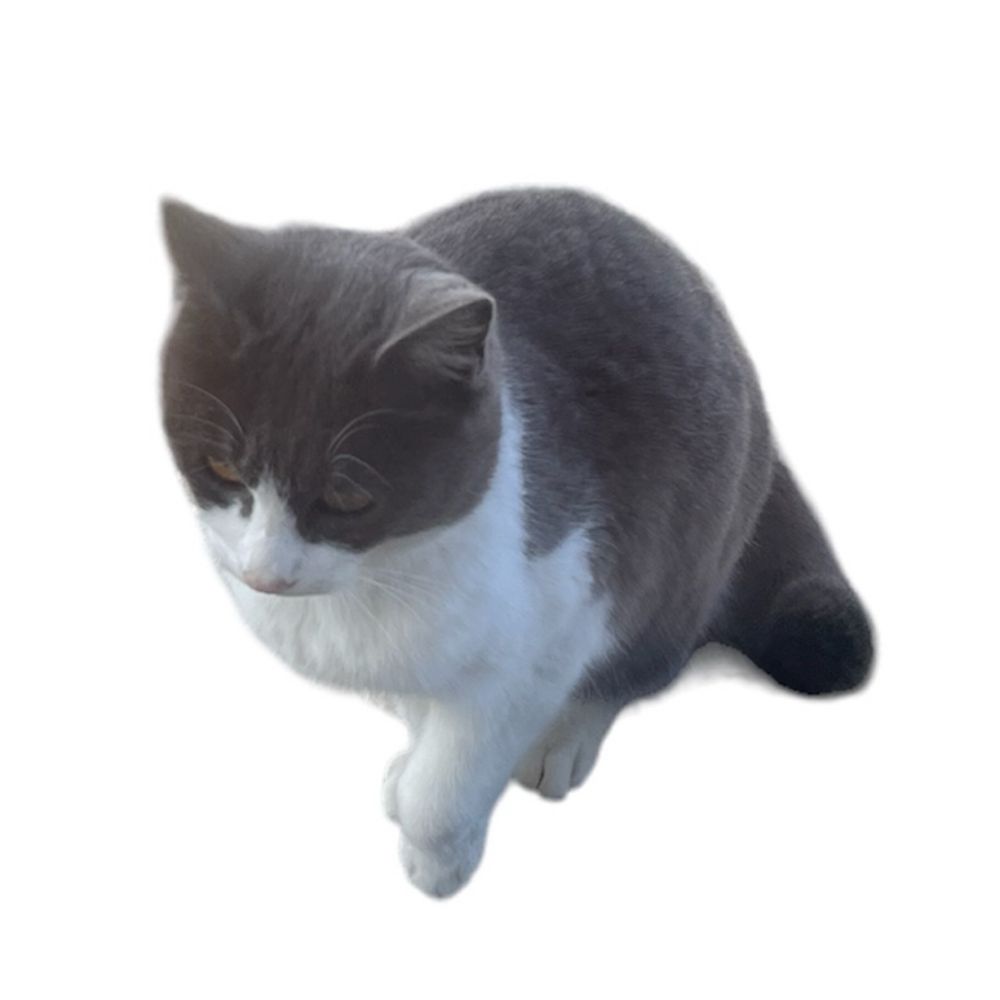 もゃ