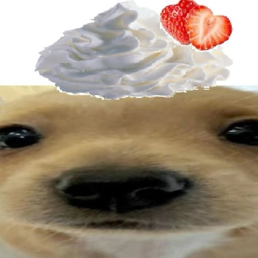 dOgs :3