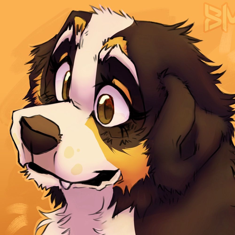 Borking Spaniel