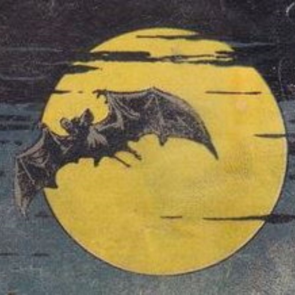 🦇 Awake at Midnight 🦇