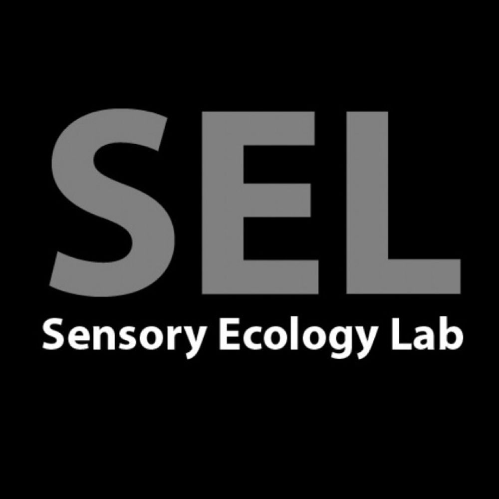 Sensory Ecology Lab - SEL