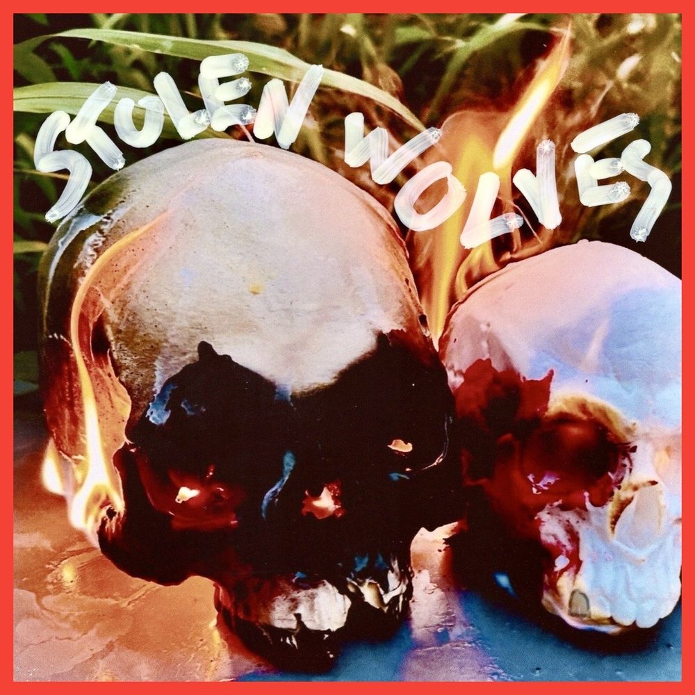 stolen-wolves.bsky.social