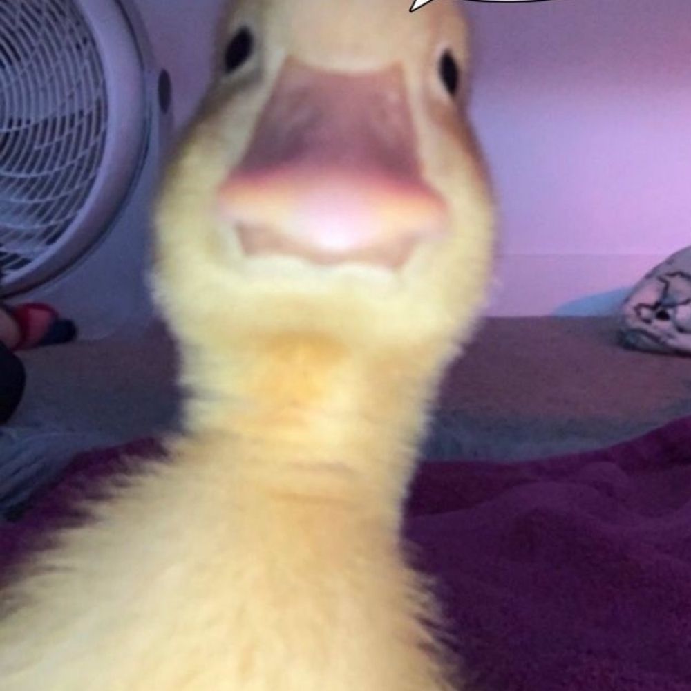 부자