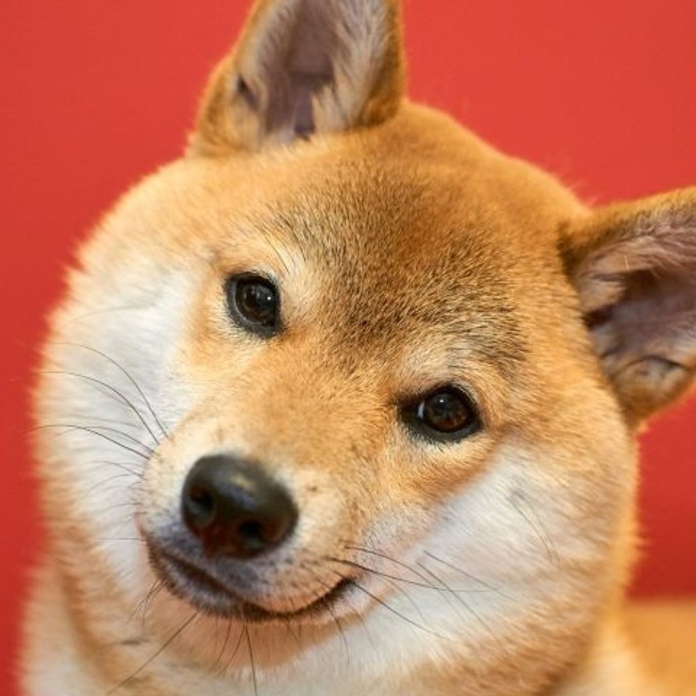 はなまる。