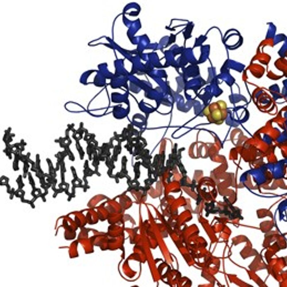 Dillingham Lab