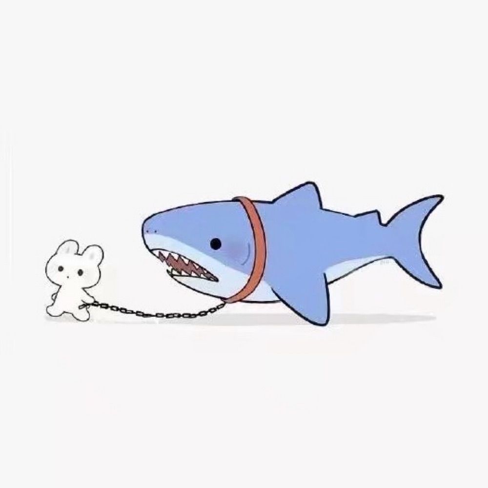 F-小鲸鱼🐳