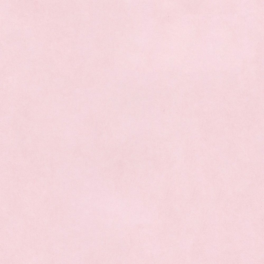 わかめ