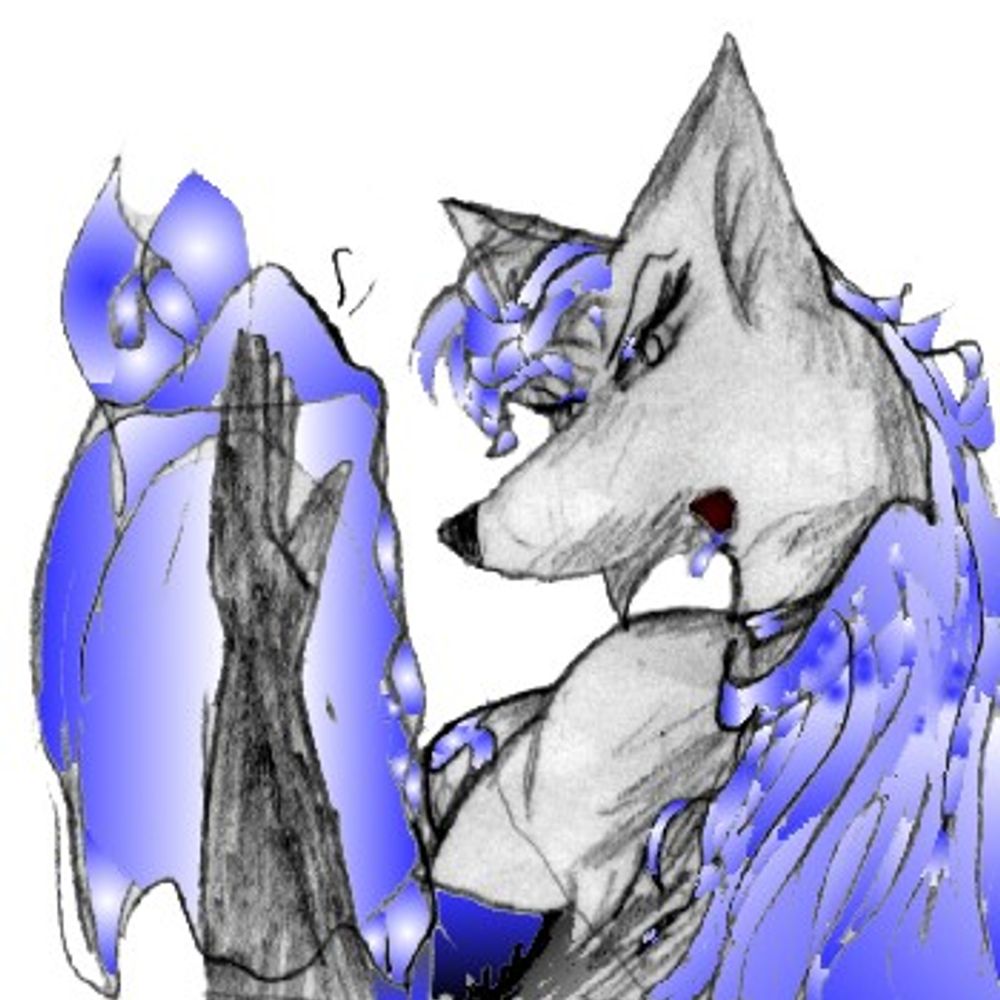 Shadow Fox Infinite