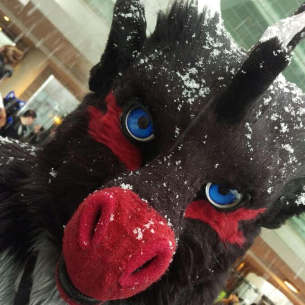 Harnessed Dragon -> FWA