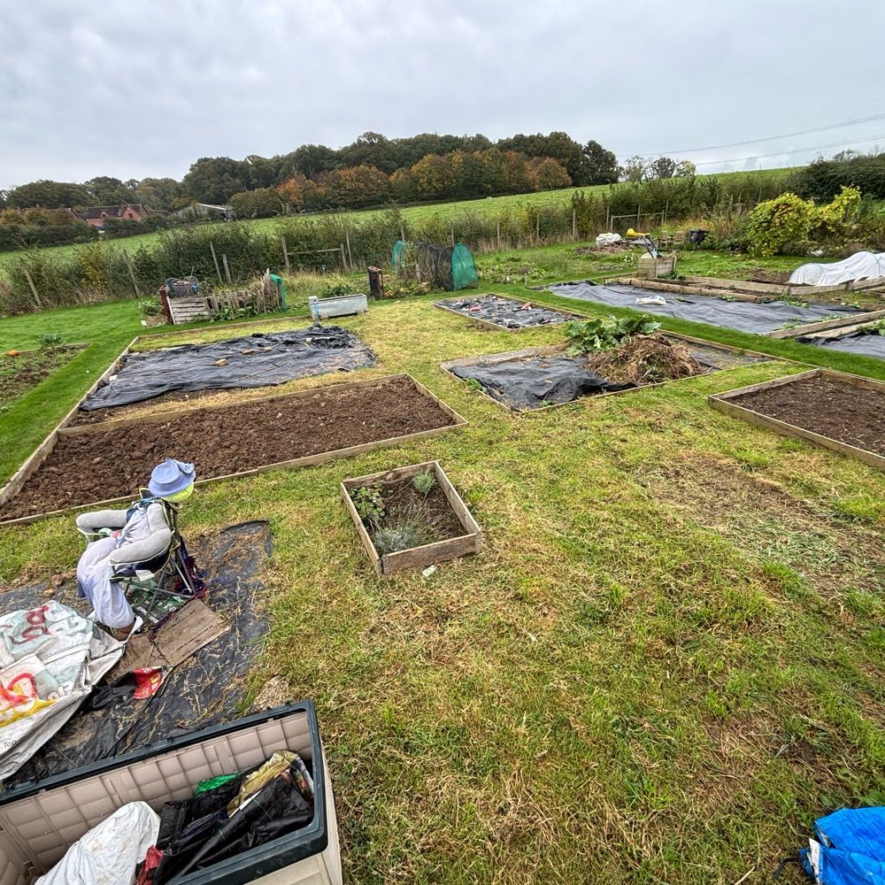 Allotment 62
