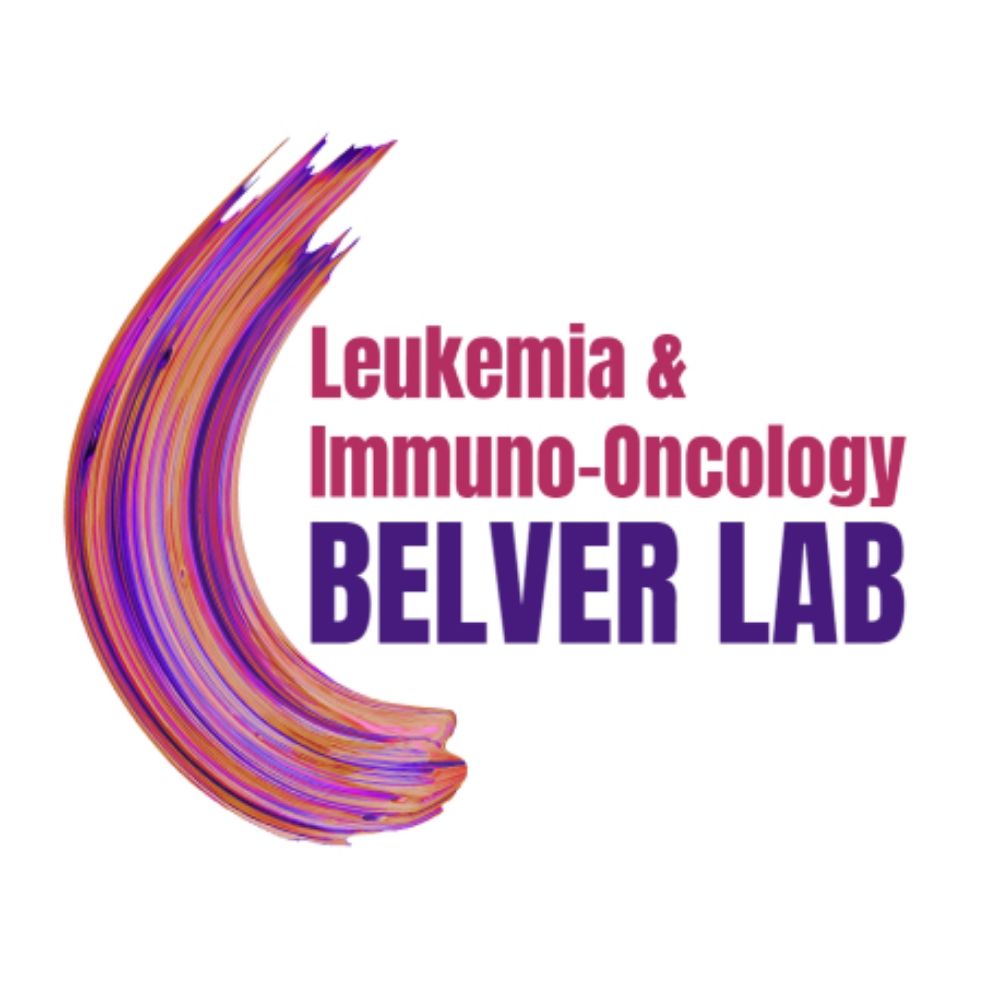 Belver Lab