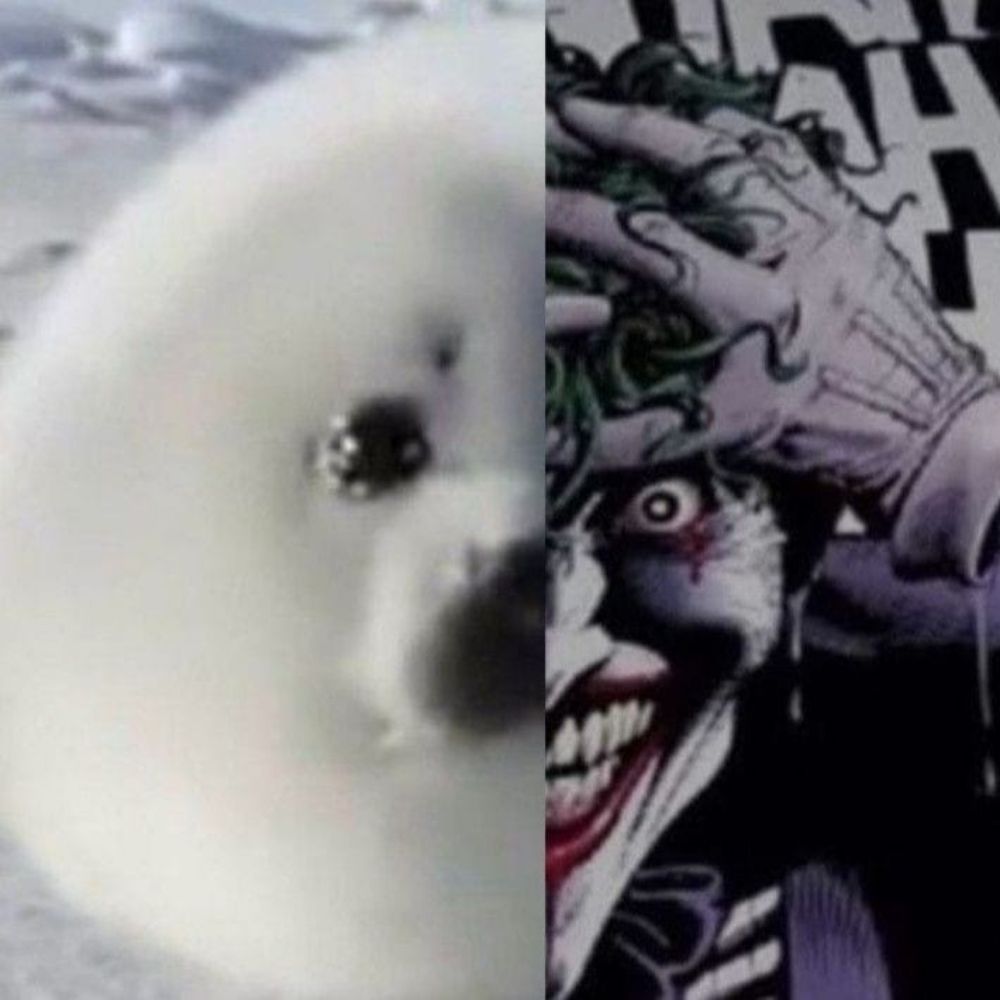 S.