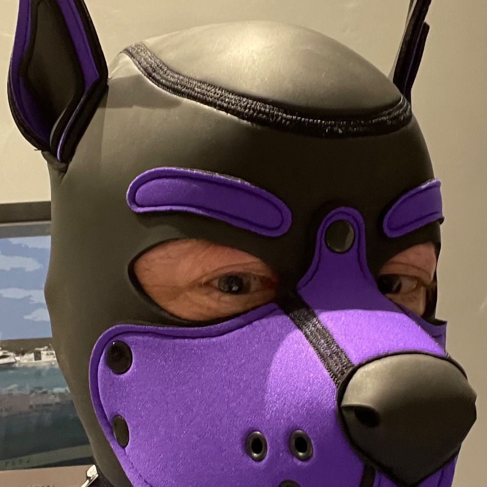 Pupdoofus
