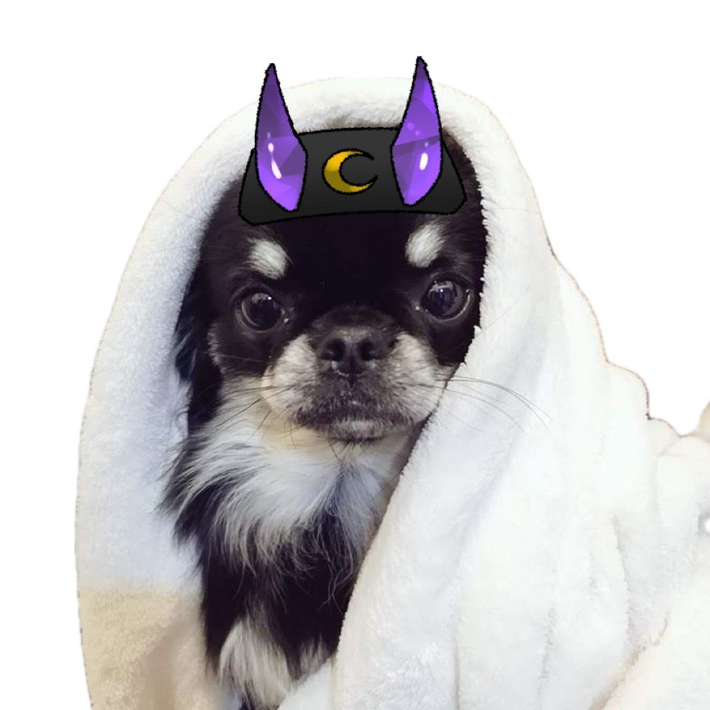 豊穣の犬