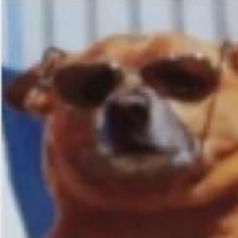stooie