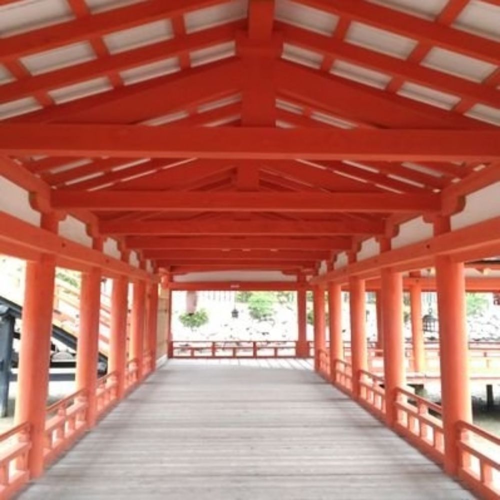 キノ←山椒（名前変えたよ）