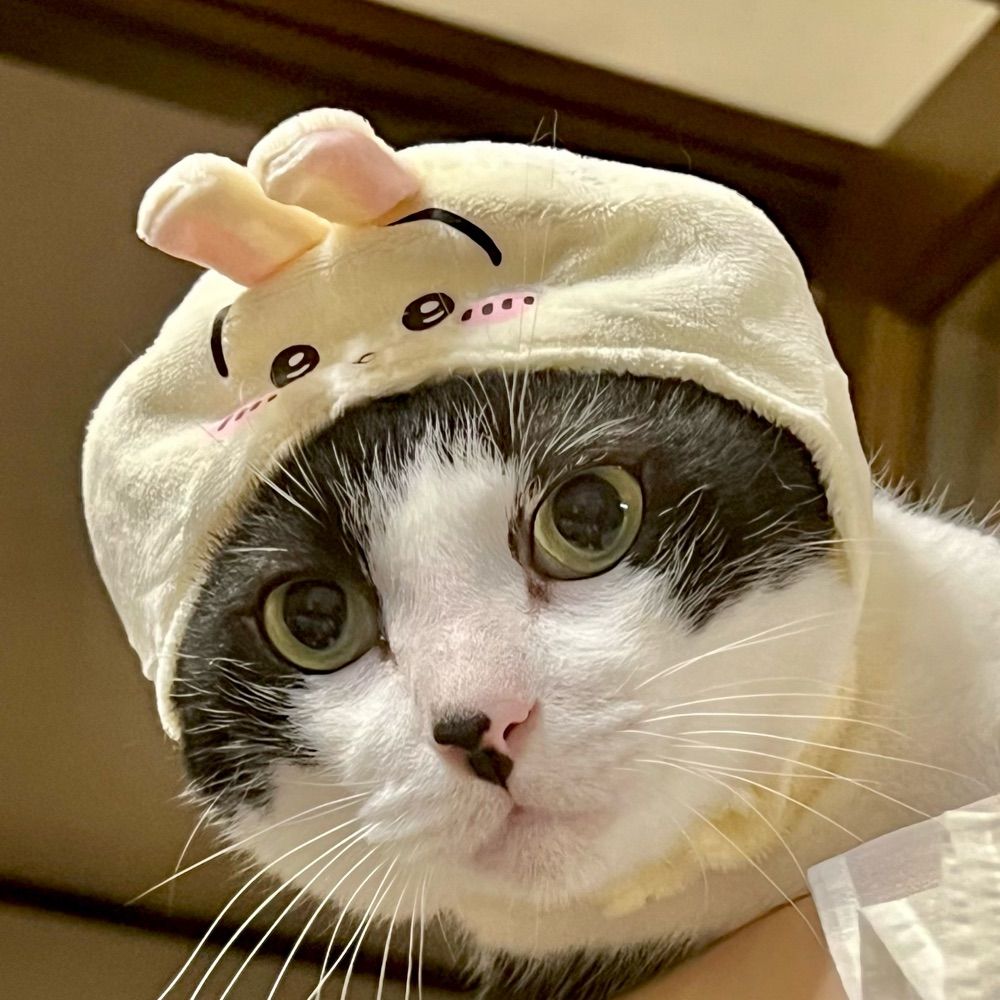 三嶋