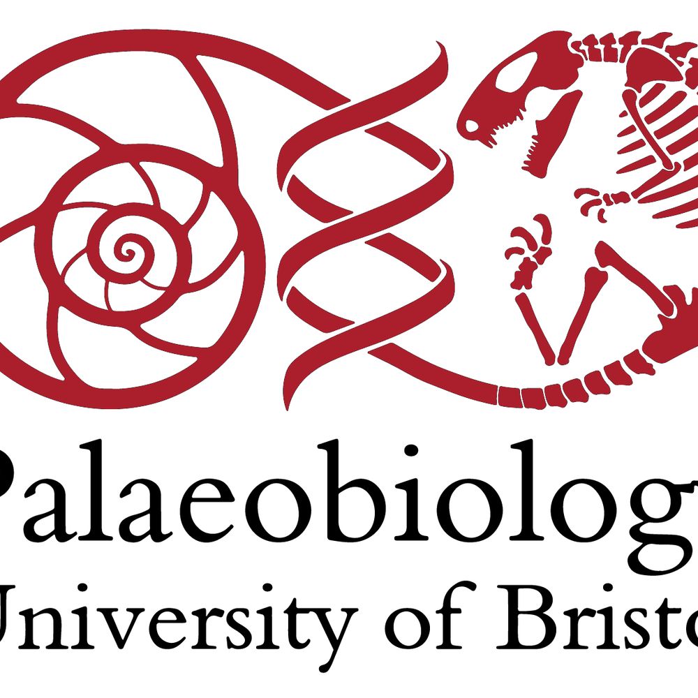 Bristol Palaeobiology