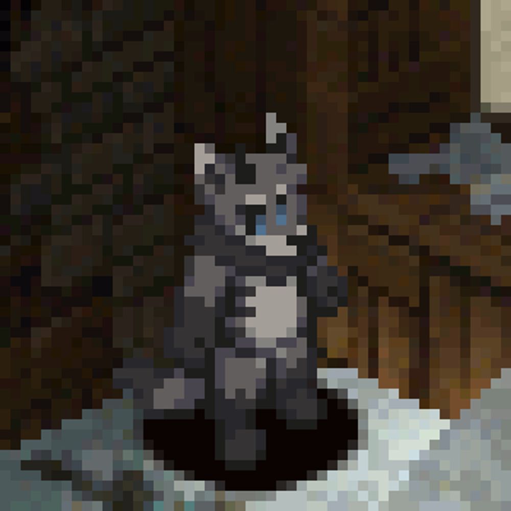 Kit