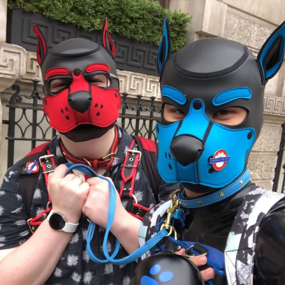 Pups Xena and Spud